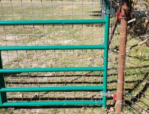 Questions to ask yourself before building your livestock fence