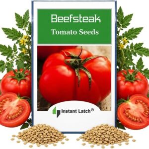 250 Beefsteak Tomato Seeds | Non-GMO | Fresh Garden Seeds