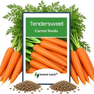 3000 Tendersweet Carrot Seeds for Planting Non GMO Heirloom Carrot Seed