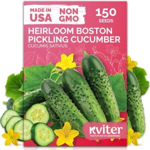 150 Boston Pickling Cucumber Heirloom Vegetable Seeds, Cucumis Sativus